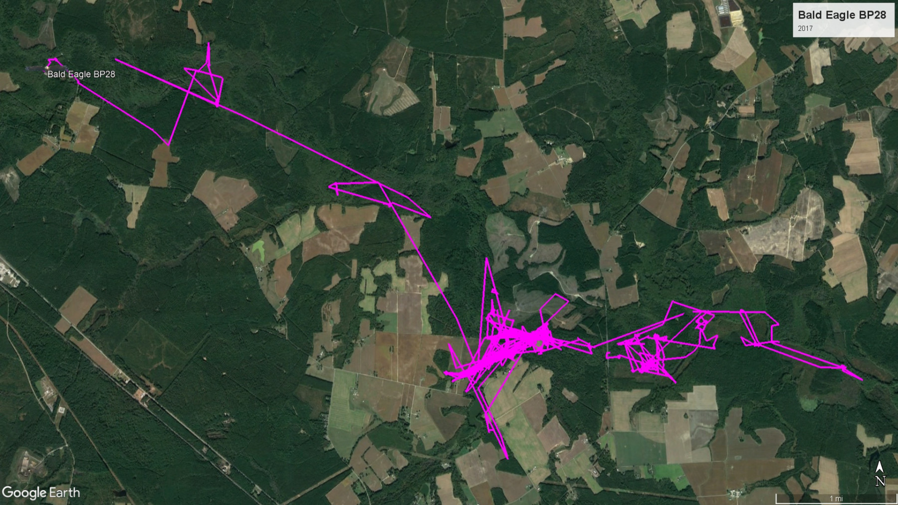 Bald Eagle BP28 route in 2017