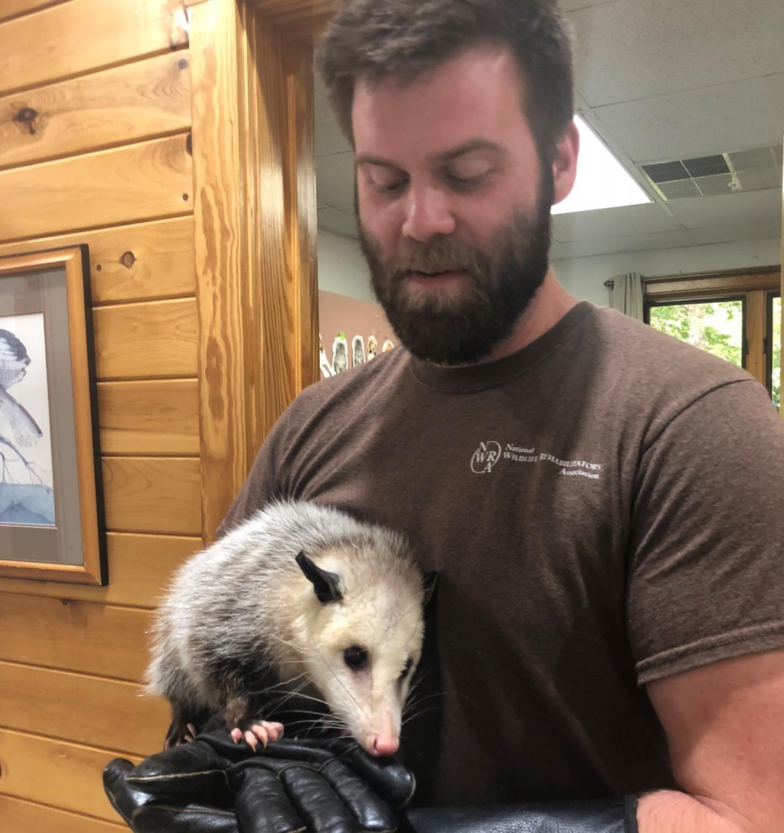 Alex with Virginia Opossum