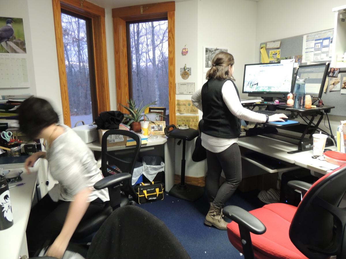 Stand up desk