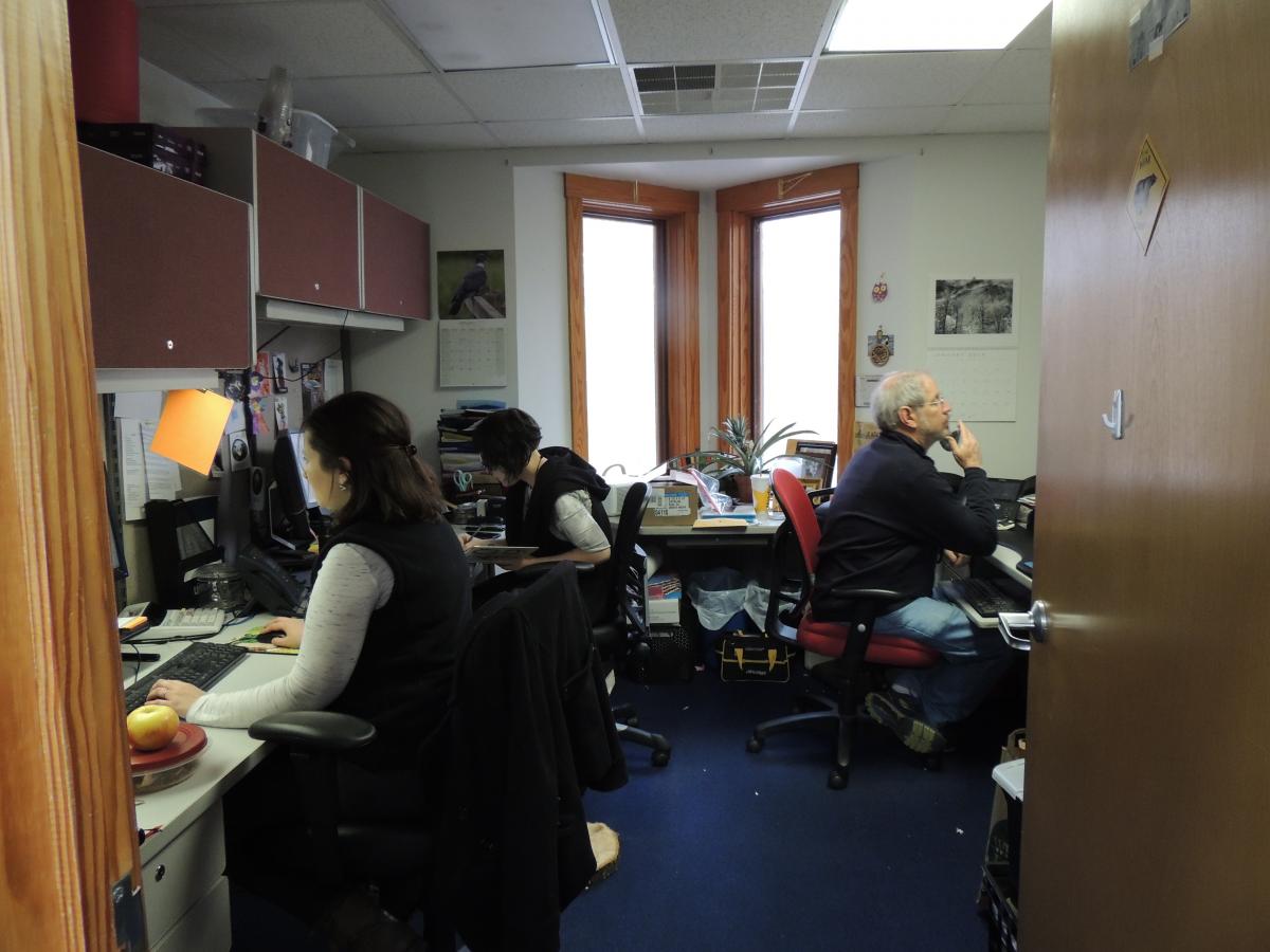 Life in the office