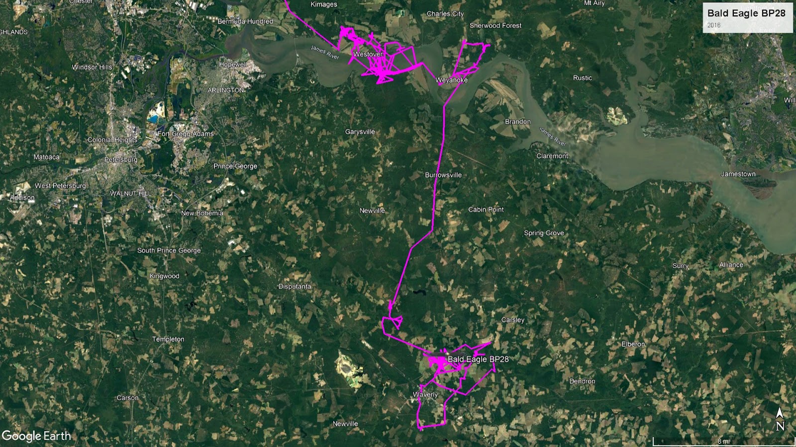 Bald Eagle BP28 route in 2016
