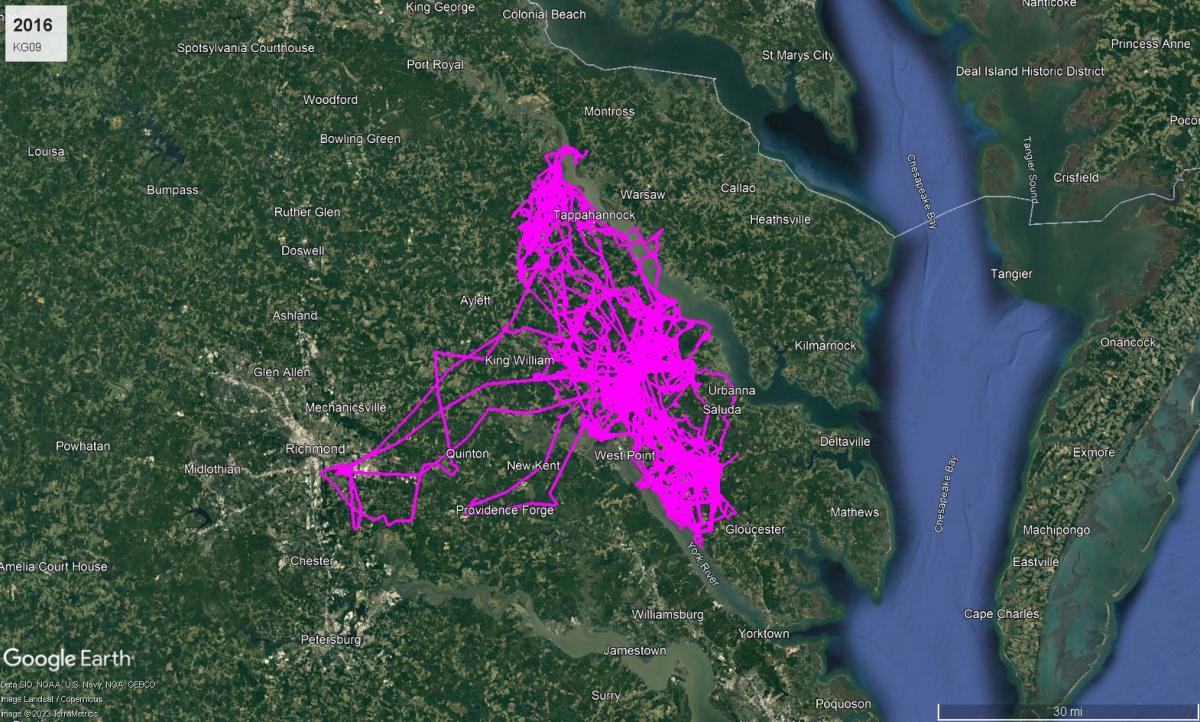 Bald Eagle KG09 Route in 2016