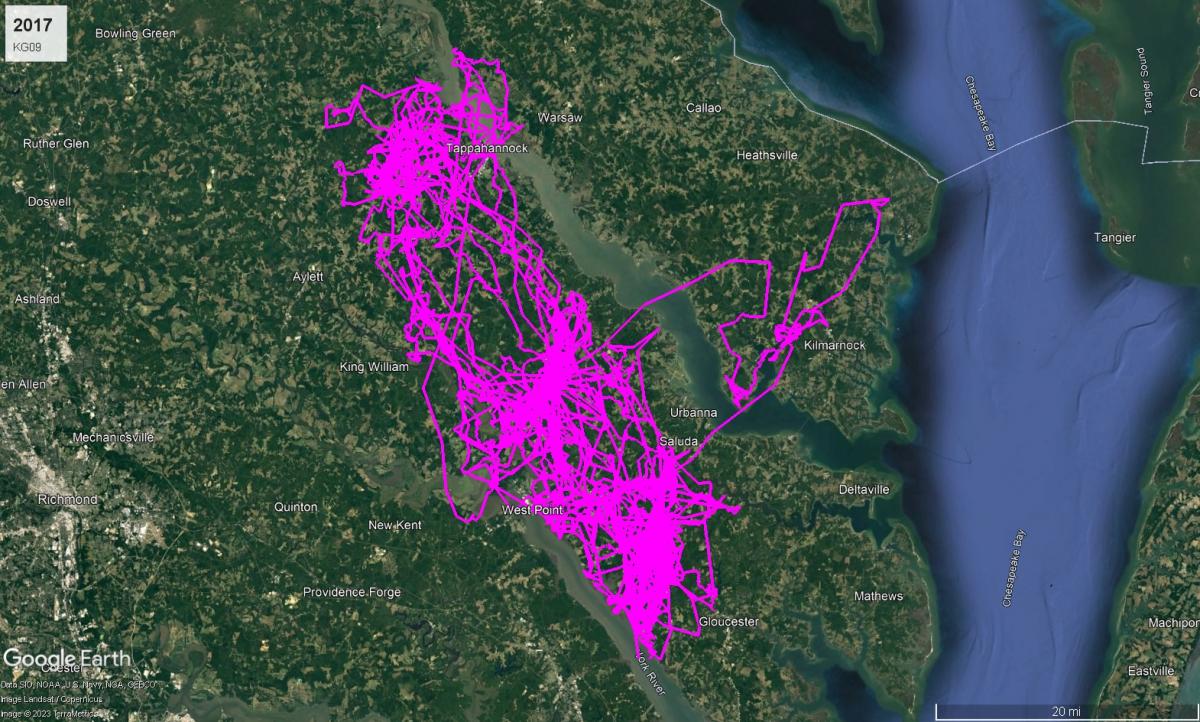 Bald Eagle KG09 route in 2017