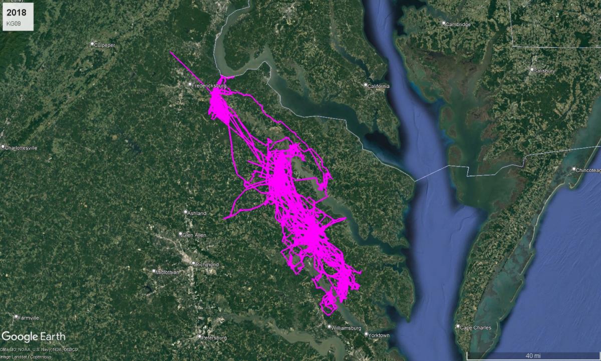 Bald Eagle KG09 Route in 2018