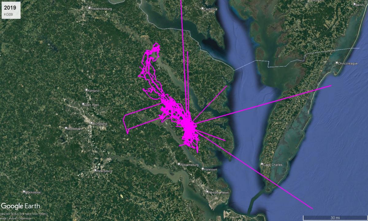Bald Eagle KG09 Route in 2019