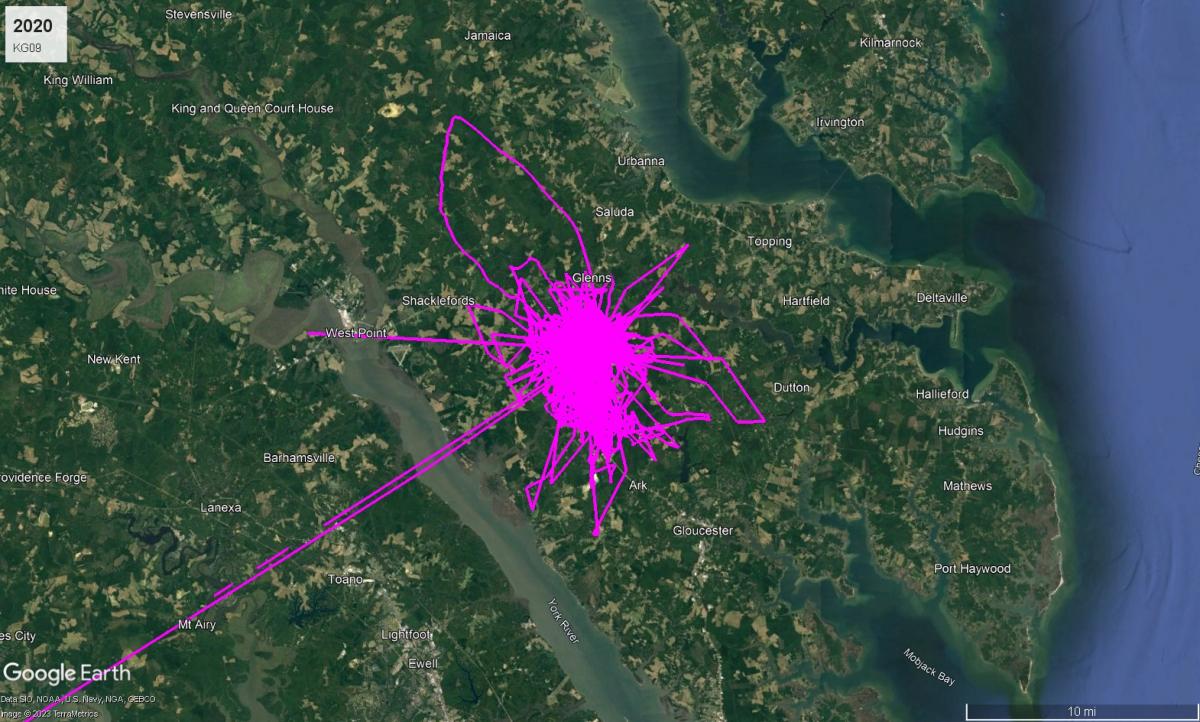 Bald Eagle KG09 route in 2020