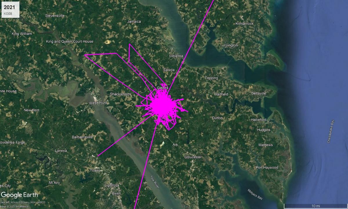 Bald Eagle KG09 route in 2021