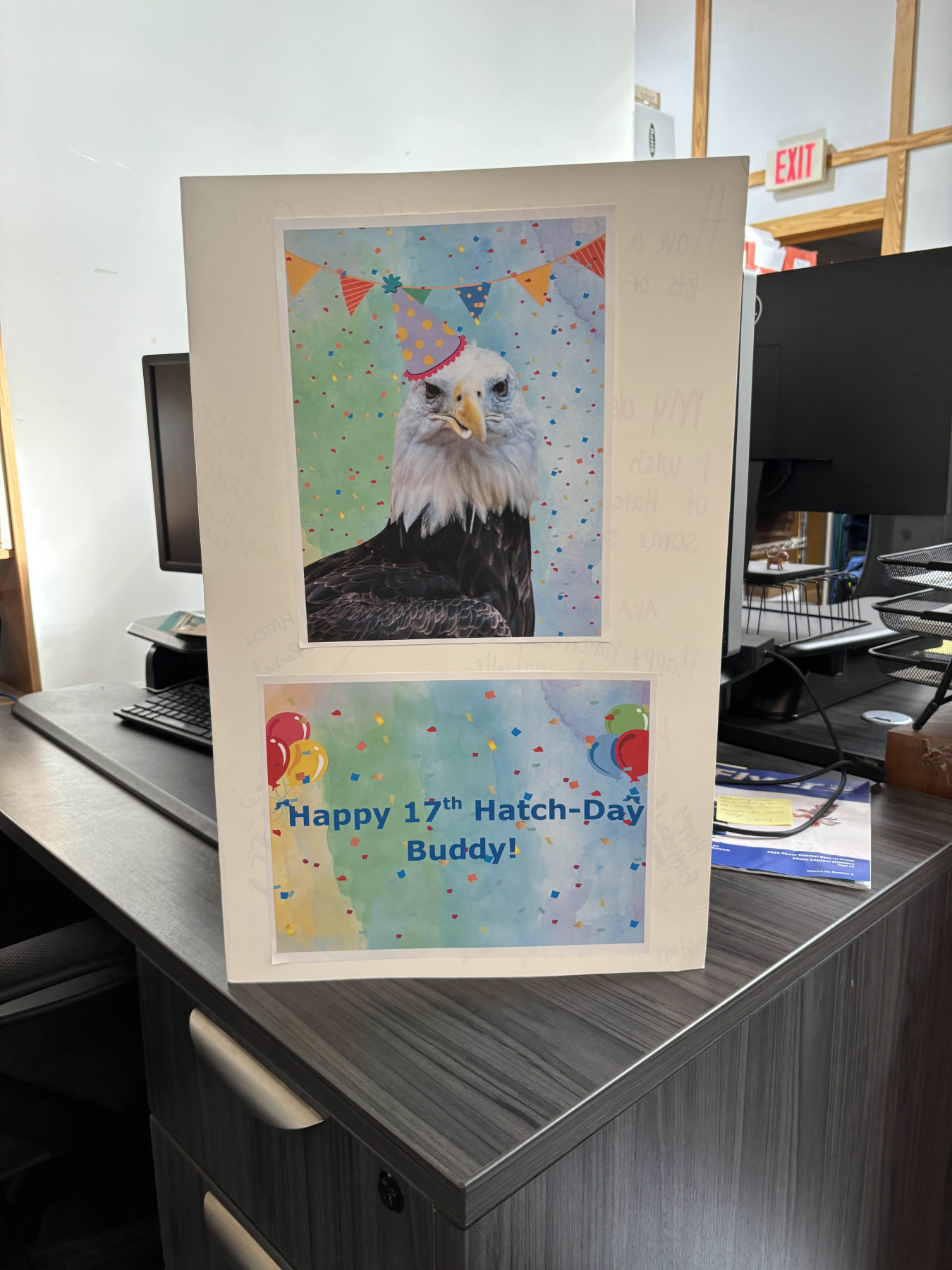 A large birthday card for Buddy's 17th Hatch-Day