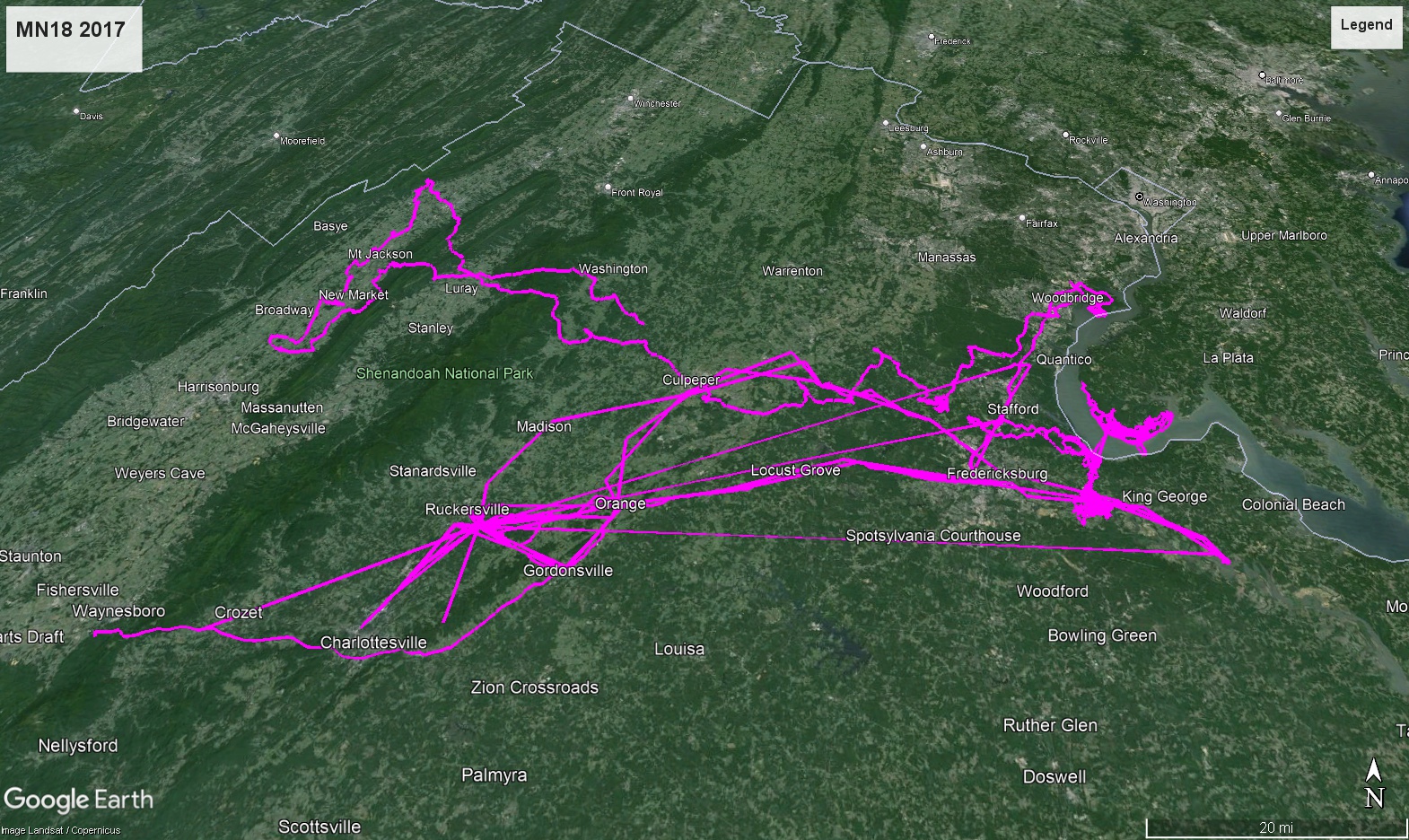 A Google Earth map with purple lines tracking the movements of an eagle.