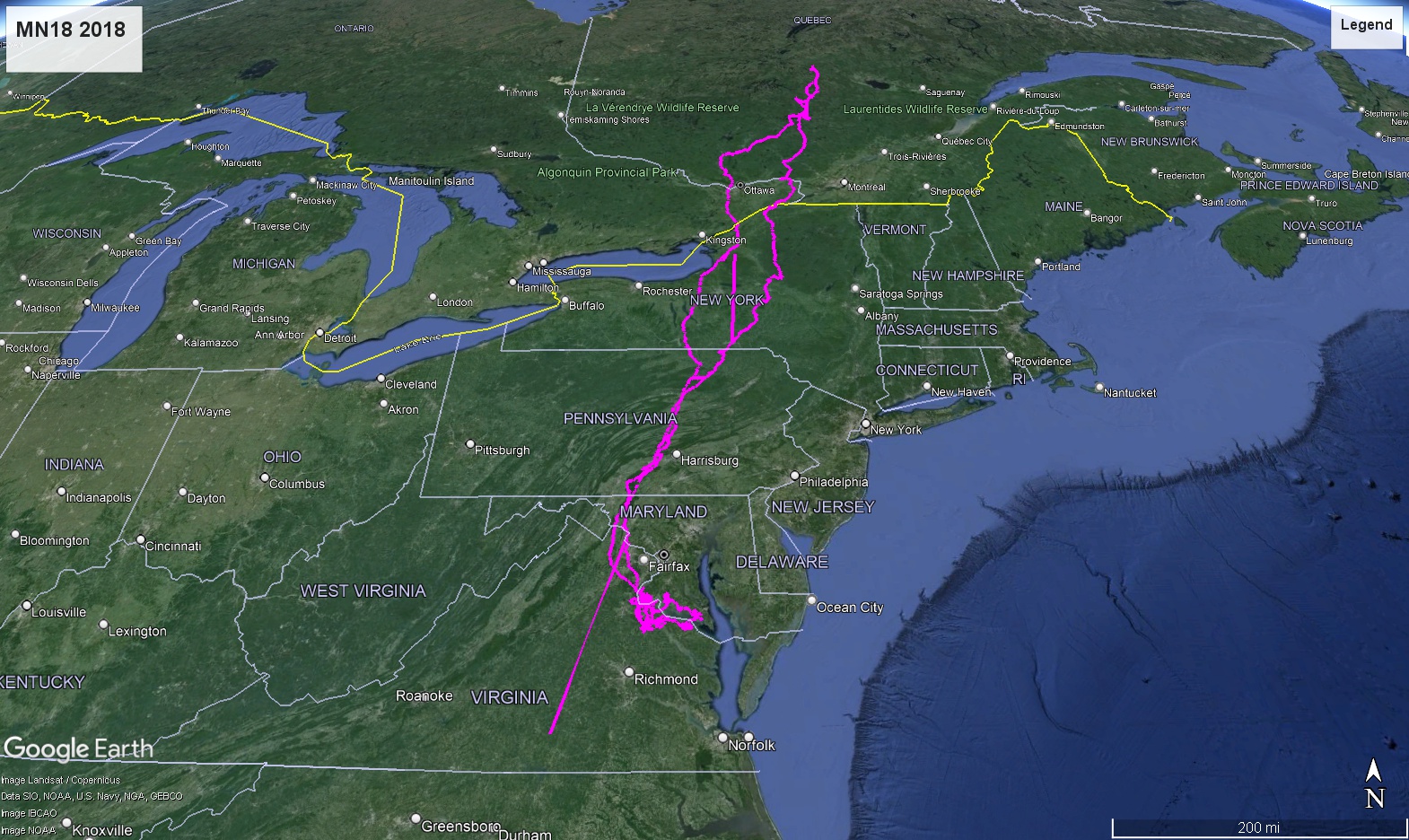 A Google Earth map with purple lines tracking the movements of an eagle.