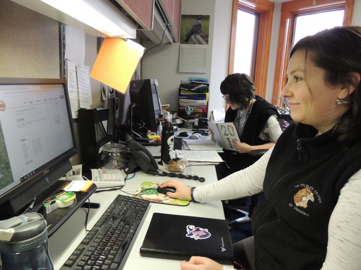 Life in the office