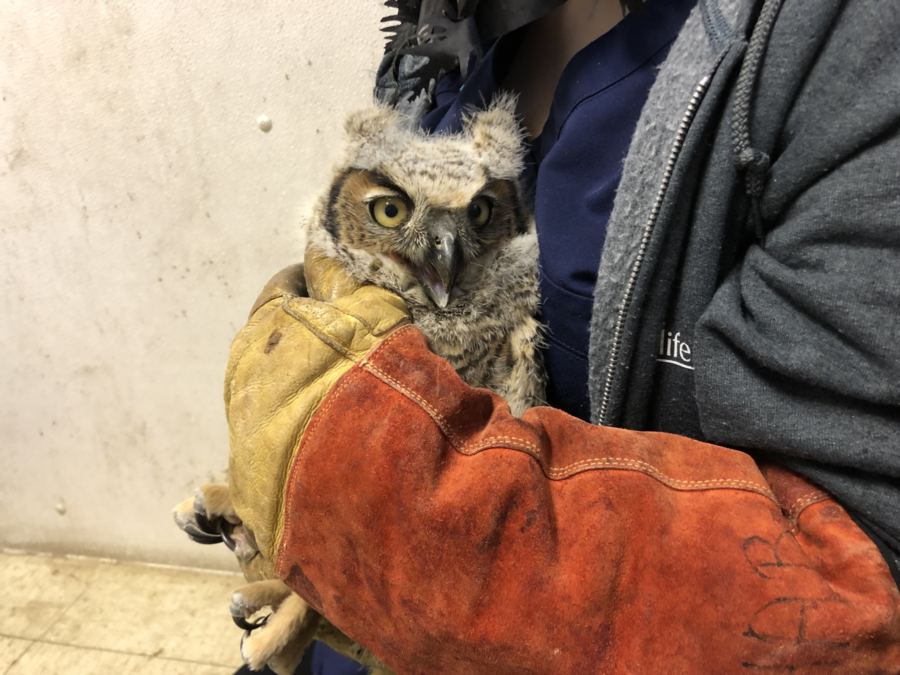 Patient photo