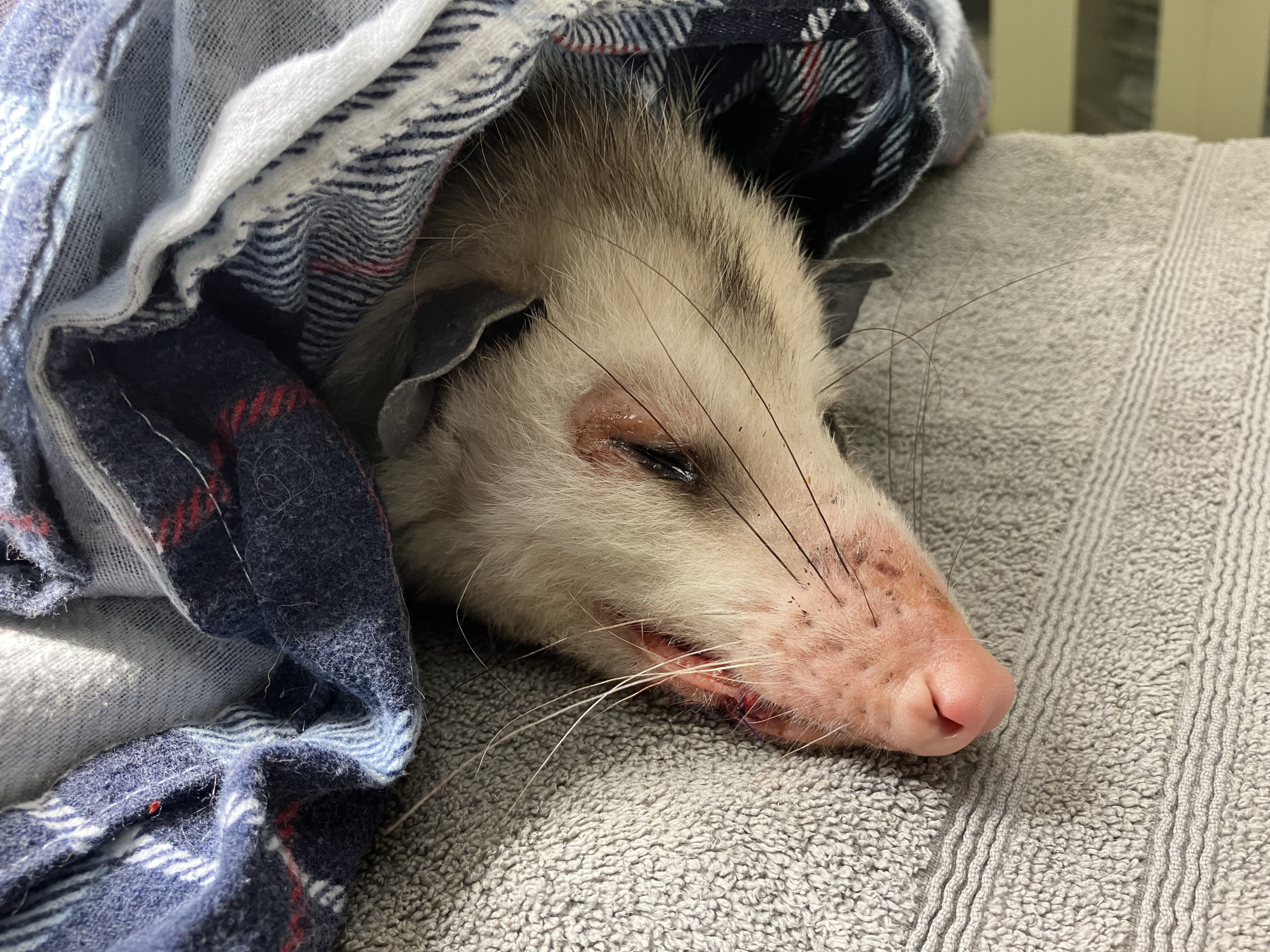 Patient photo