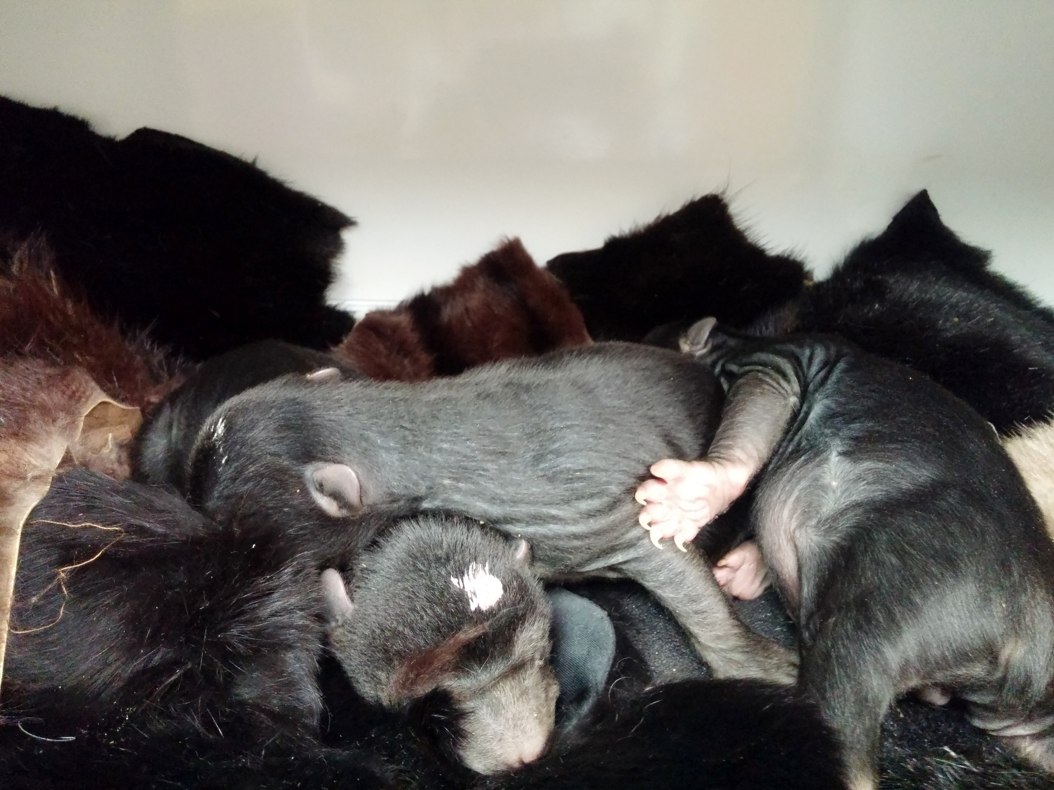 Patient photo