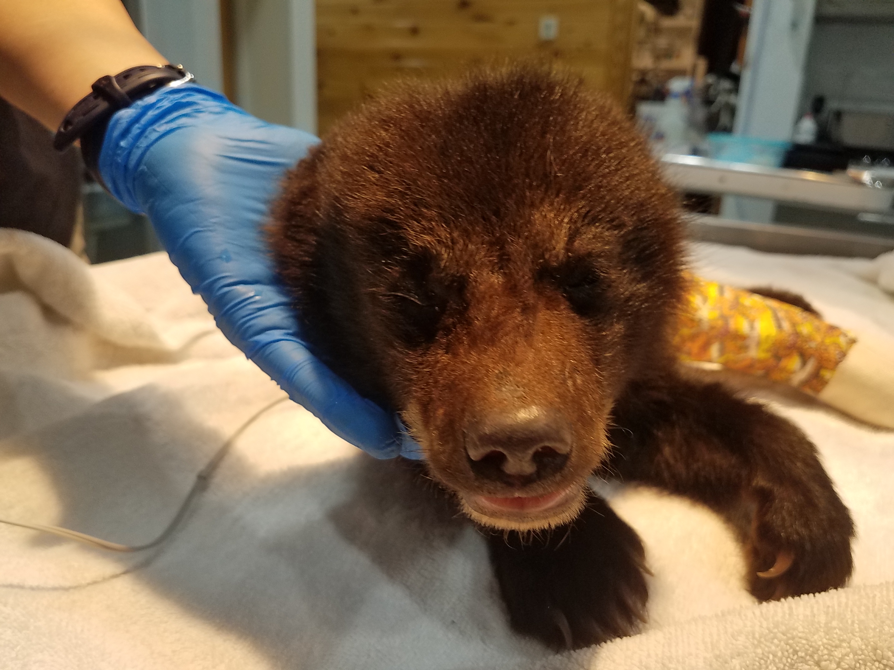 Patient photo