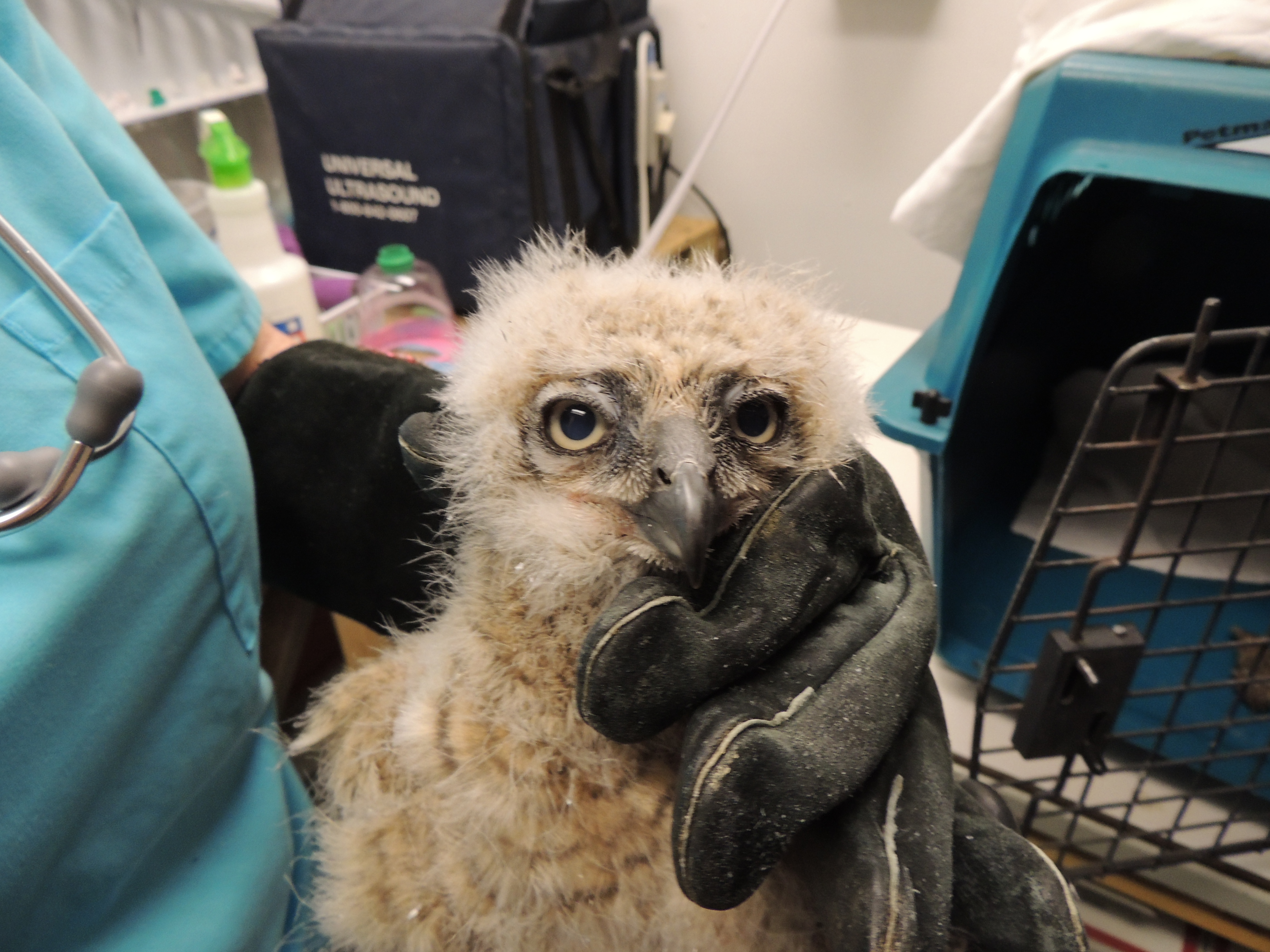 Patient photo