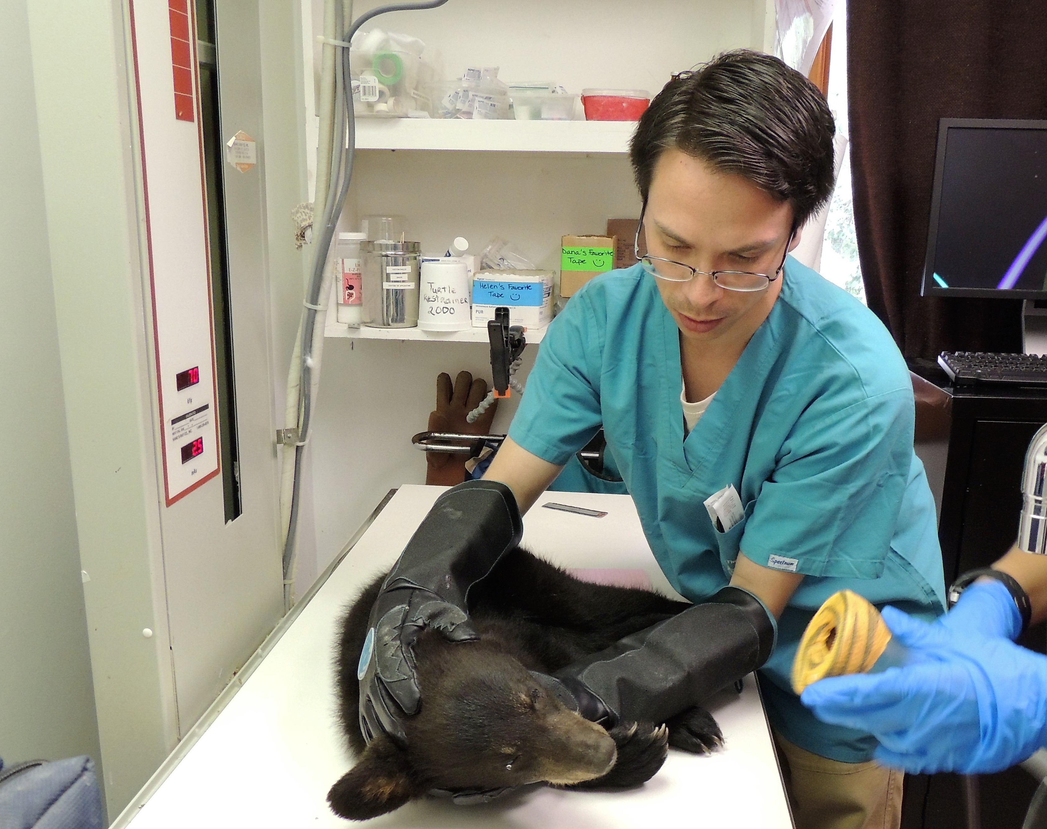 Patient photo