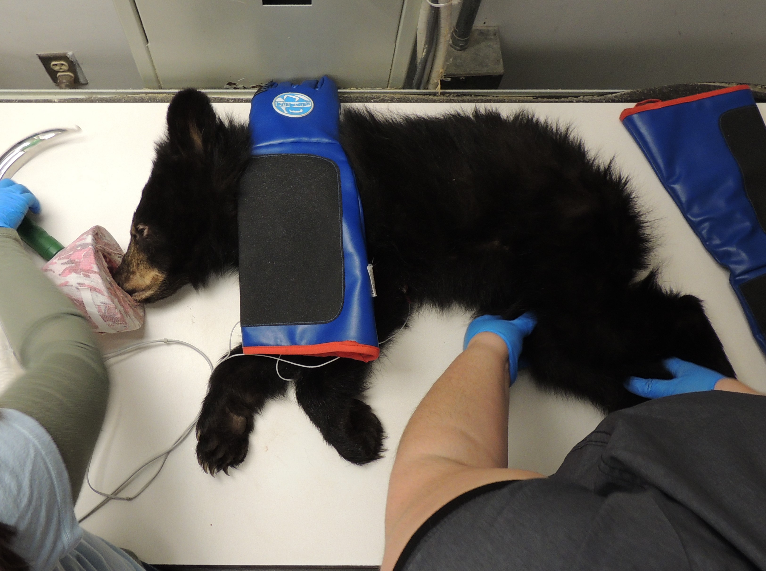 Patient photo