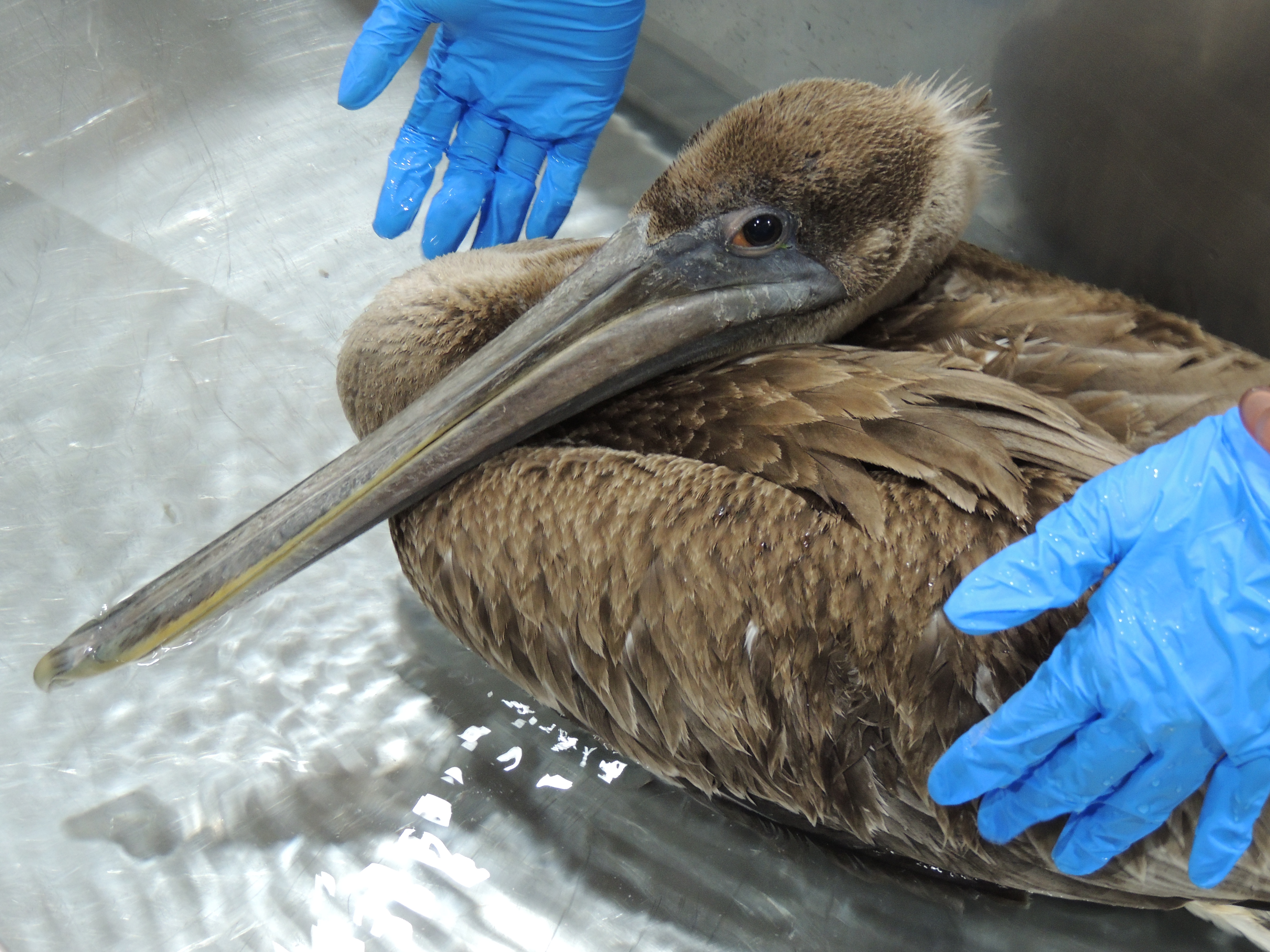 Patient photo