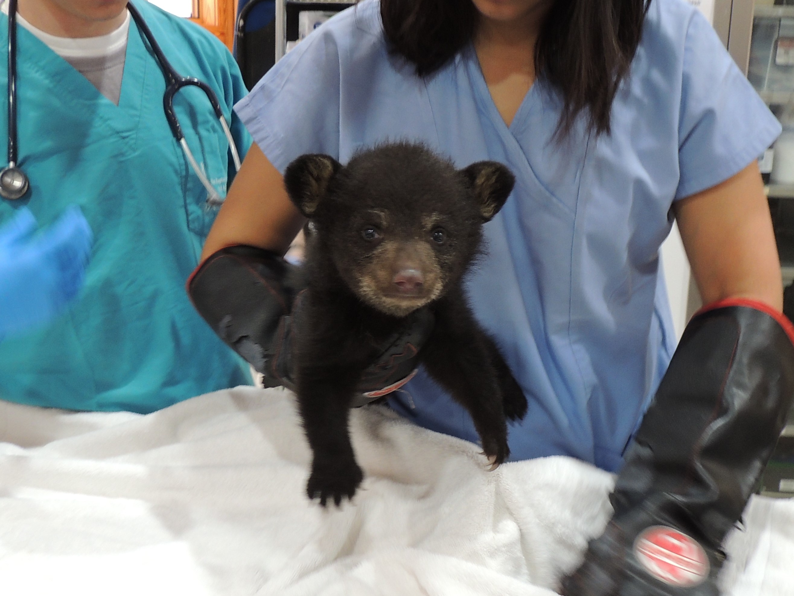 Patient photo