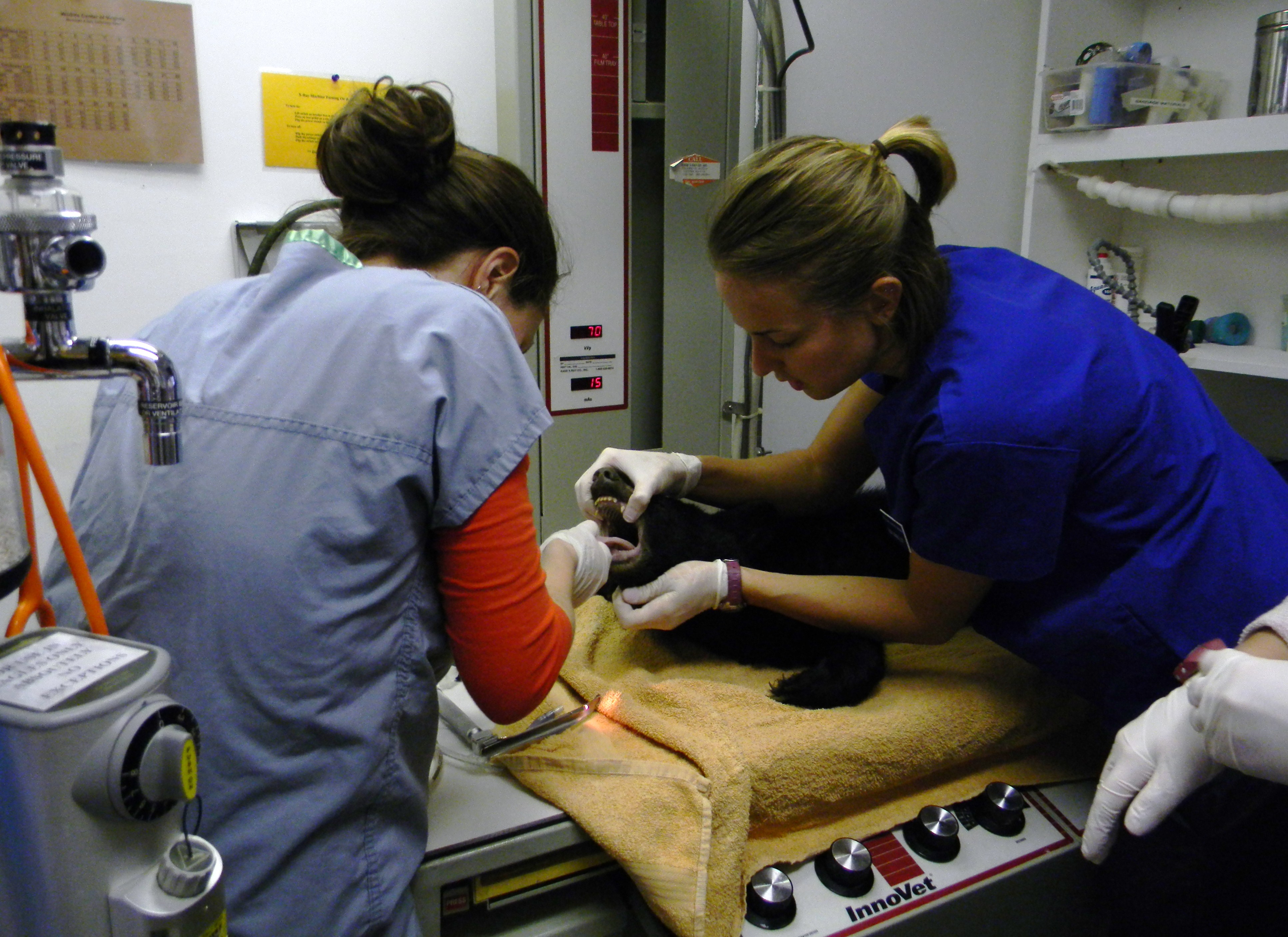 Patient photo