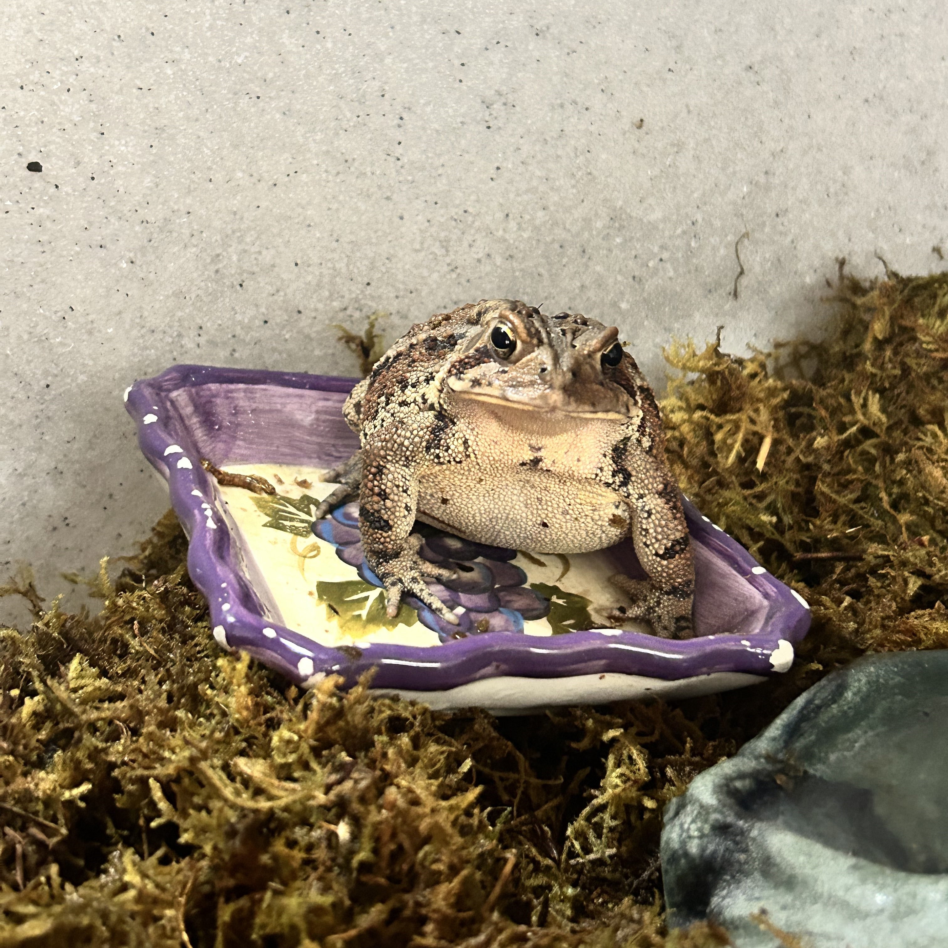Patient photo