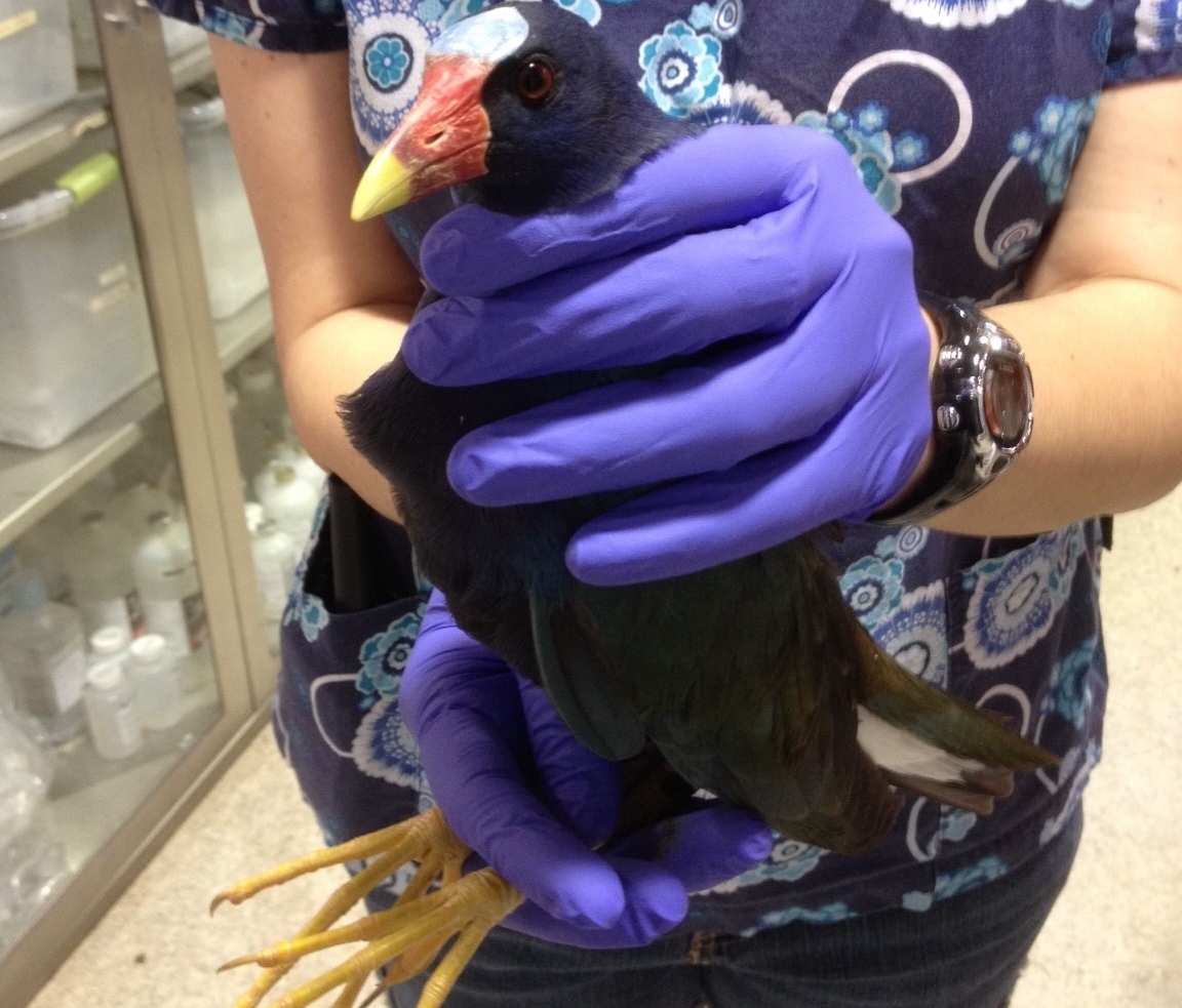 Patient photo