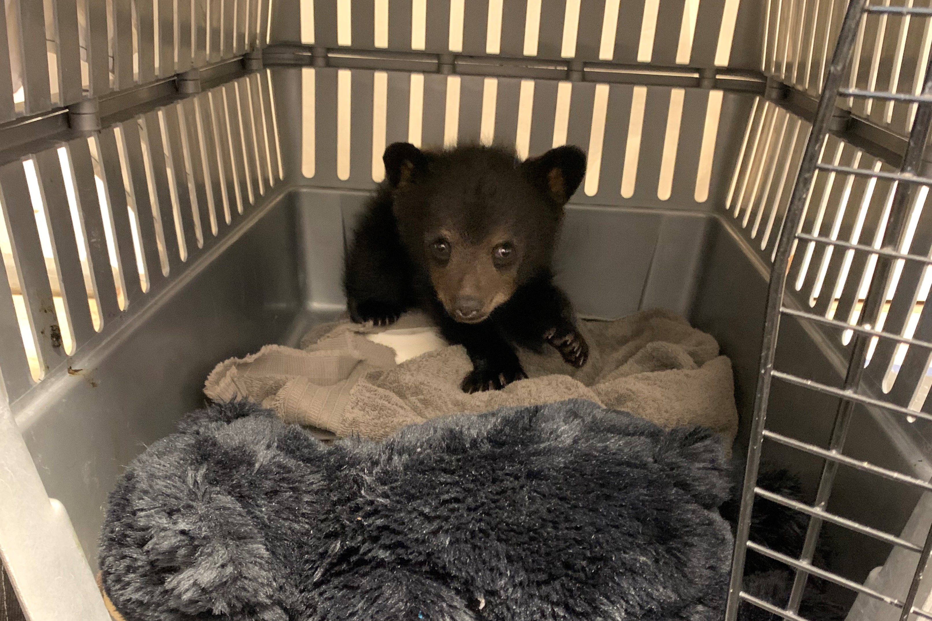 Patient photo
