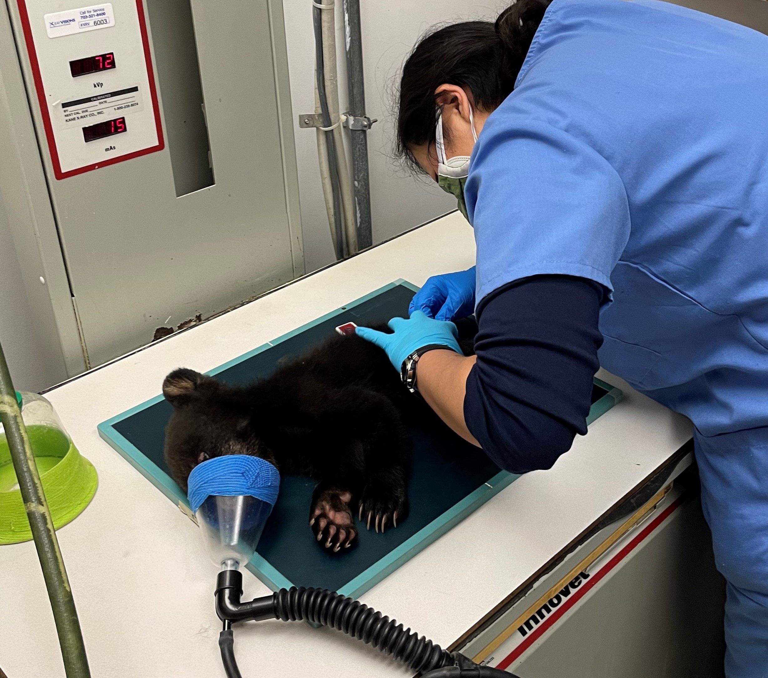 Patient photo