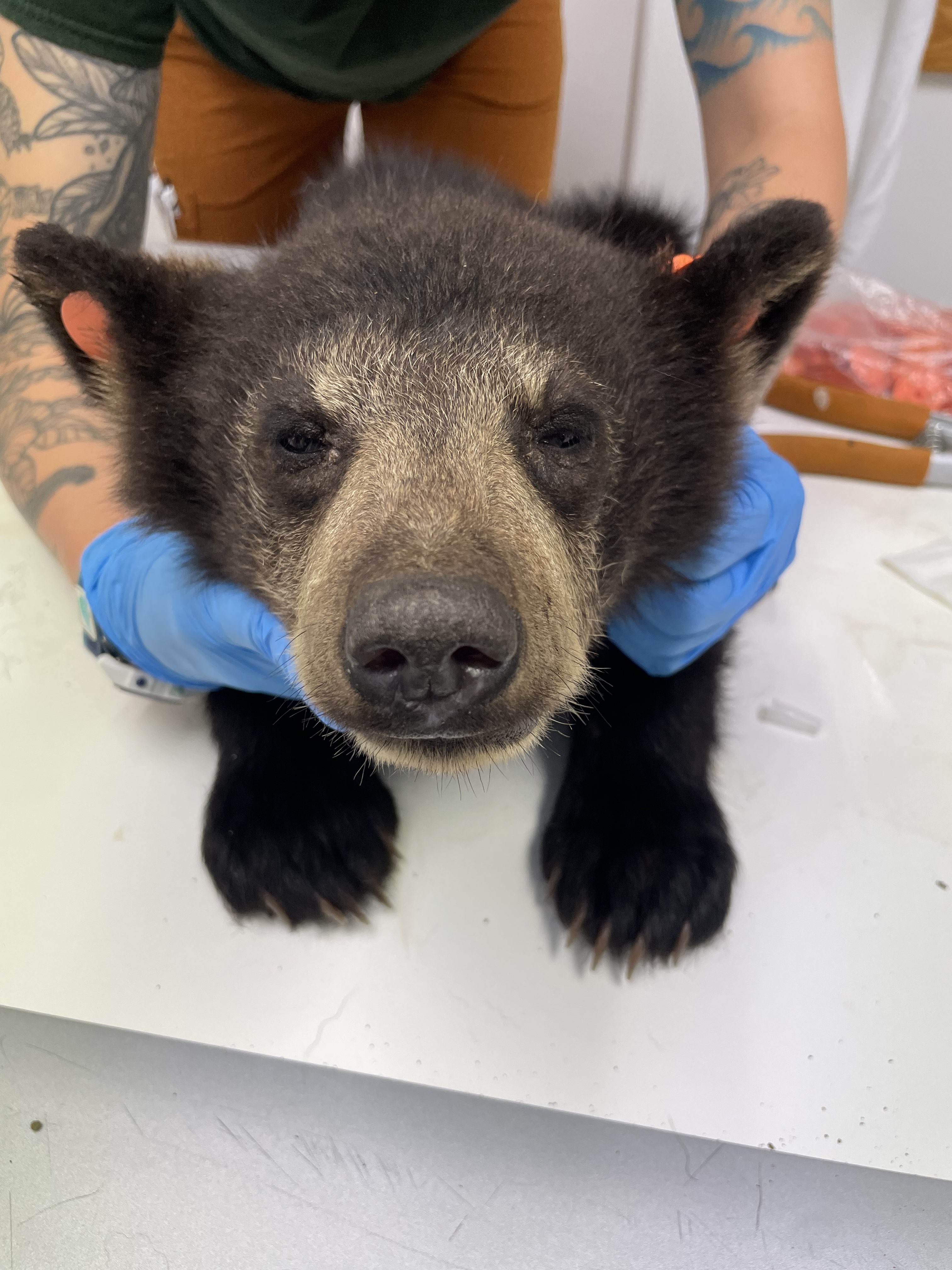 Patient photo