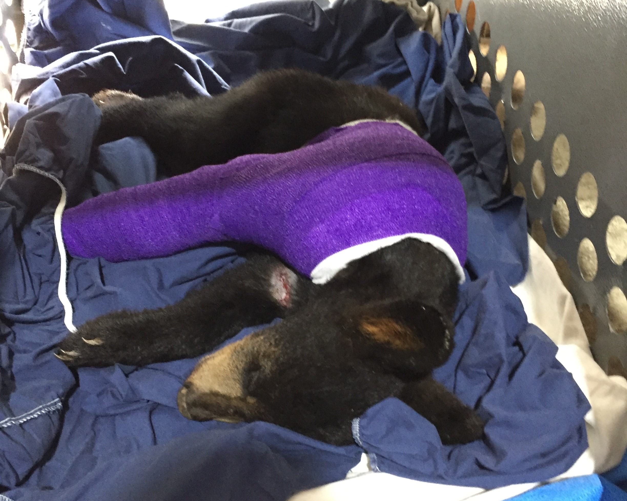 Patient photo