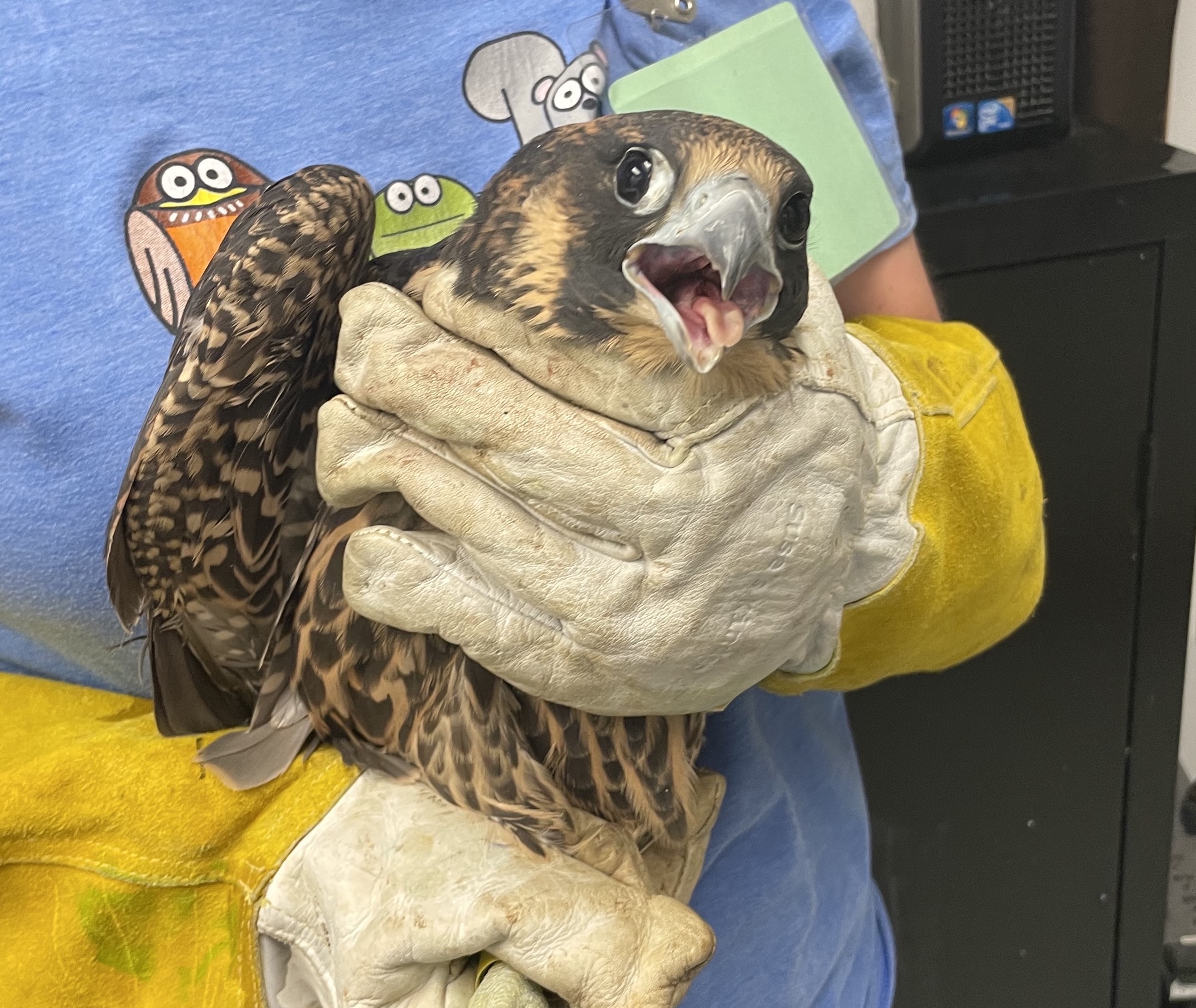 Patient photo