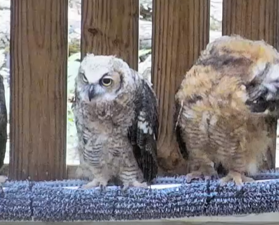 Patient photo