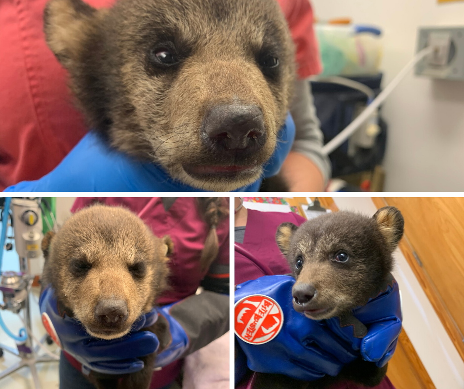 Patient photo
