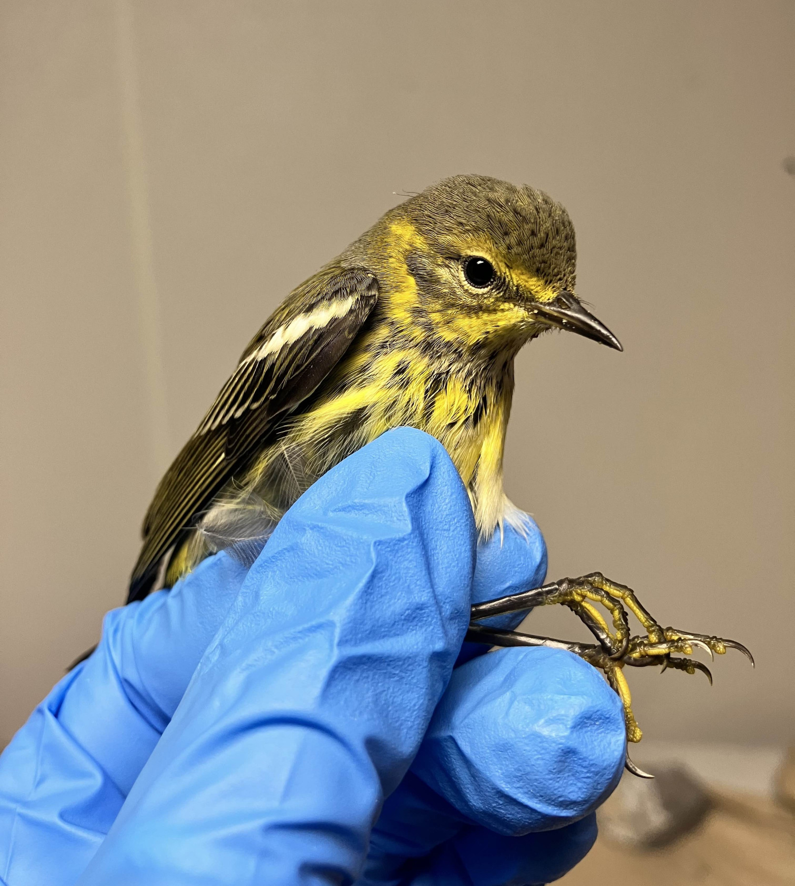 Patient photo
