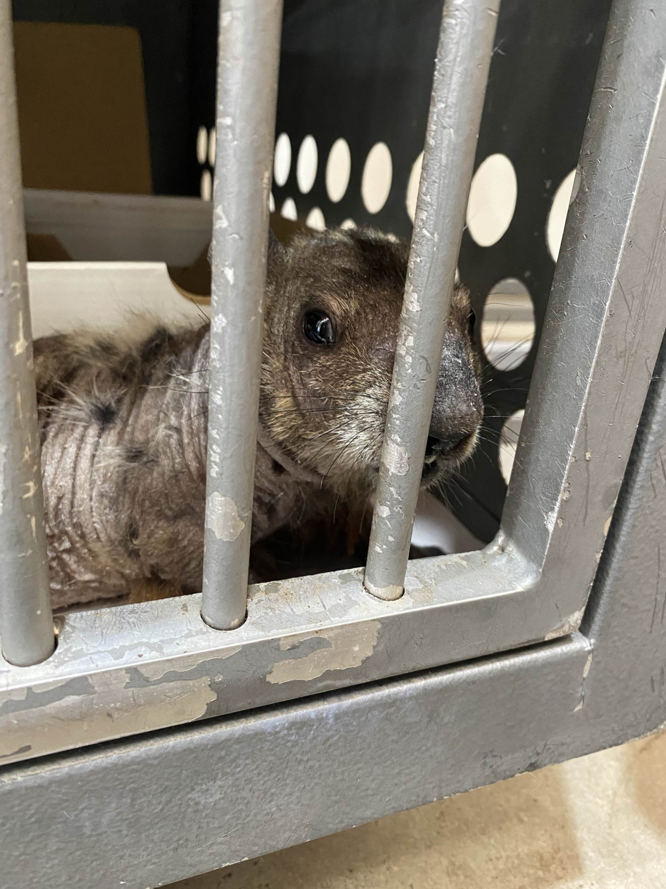 Patient photo