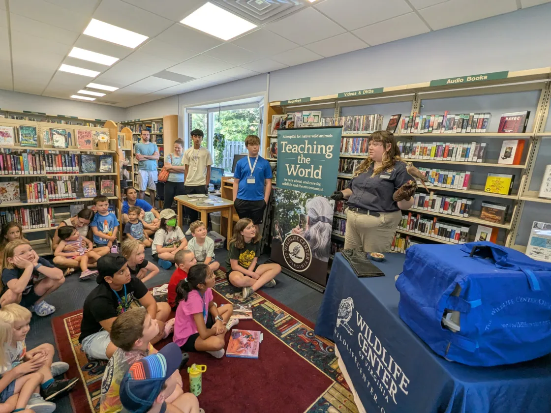 A WCV educator holds an American Kestrel in a gloved hand while standing in front of a group of children seated on the ground.