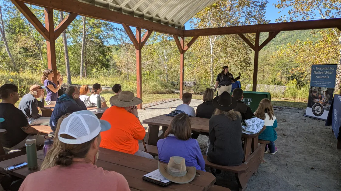 A WCV educator holds an American Kestrel in front of an audience seated in a pavilion outdoors.