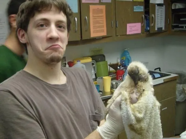 Animal Caretaker Preceptorship student Ben with a Black Vulture chick