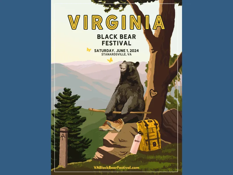An illustration of a bear wearing hiking boots and sitting on a rock with a hiking stick looking at surrounding butterflies.