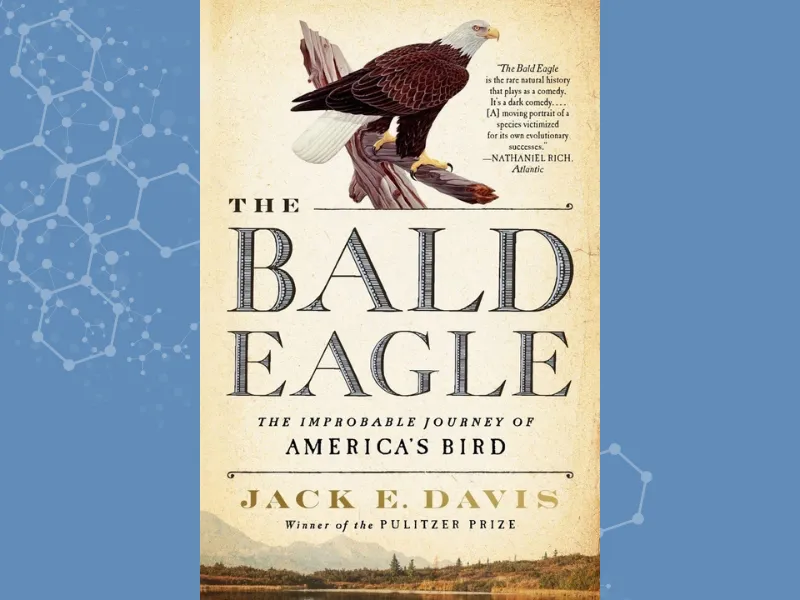 Book Club cover of The Bald Eagle: The Improbable Journey of America's Bird