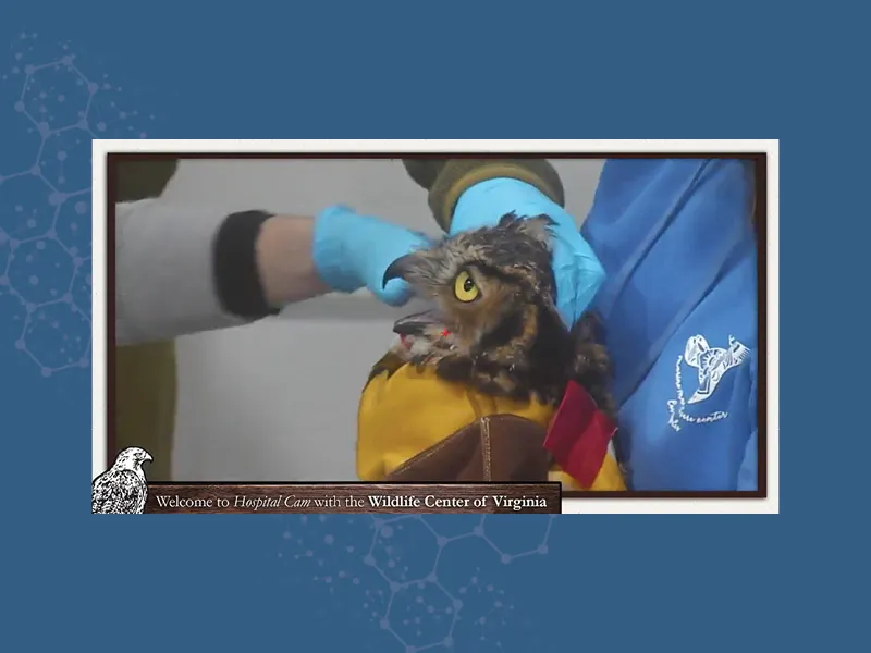 Hospital cam event graphic