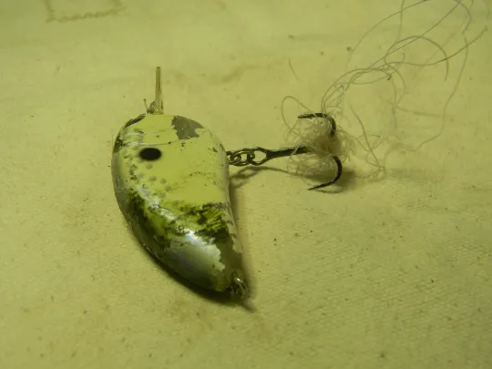 a barbed fishing lure removed from a Bald Eagle