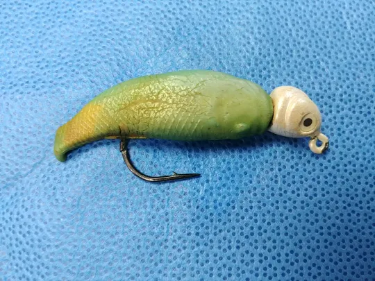 A barbed fishing lure can look like food. 