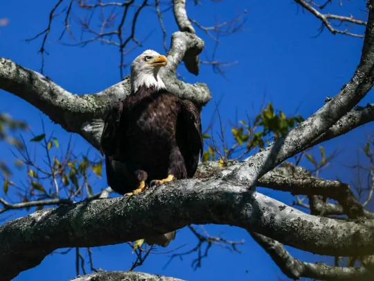 Photo by Brenda Gentry